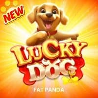 Lucky Dog