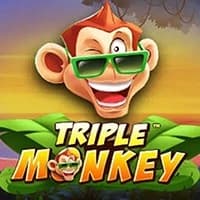 Triple Monkey