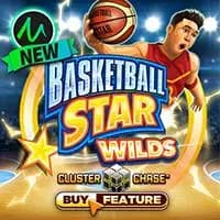Basketball Star Wilds