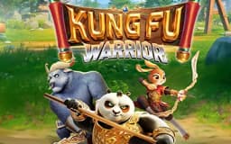 Kung Fu Warrior