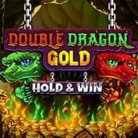 Double Dragon Gold: Hold &amp; Win