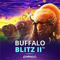 Buffalo Blitz II