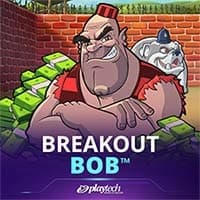 Breakout Bob™