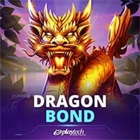 Dragon Bond