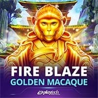 Golden Macaque