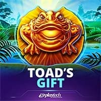 Toad's Gift
