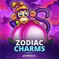 Zodiac Charms
