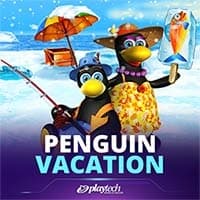 Penguin Vacation