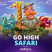 Go High Safari