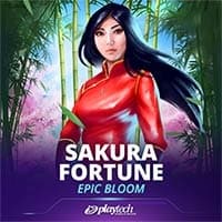 Sakura Fortune Epic Bloom
