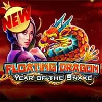 Floating Dragon Year of the Snake