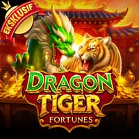 Dragon Tiger Fortunes