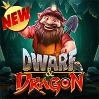 Dwarf &amp; Dragon