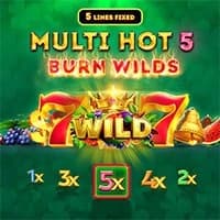 Multi Hot 5 Burn Wilds