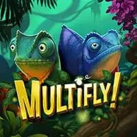 Multifly!