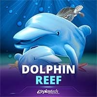 Dolphin Reef