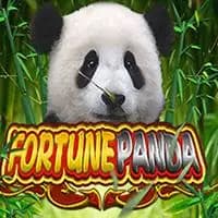 Fortune Panda